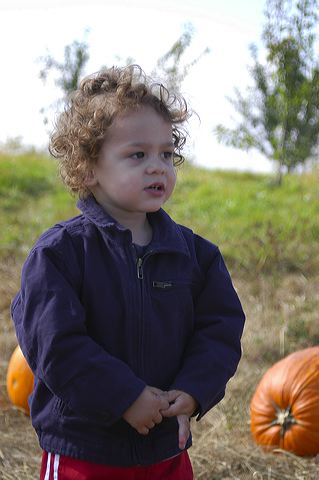 dsc_2486.jpg