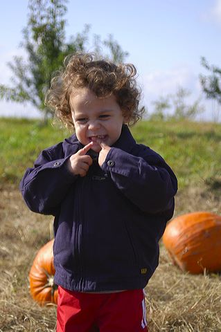 dsc_2488.jpg