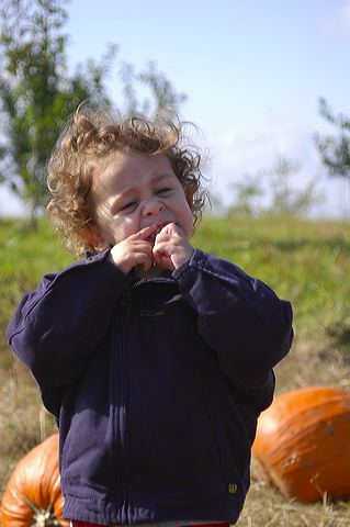 dsc_2491.jpg