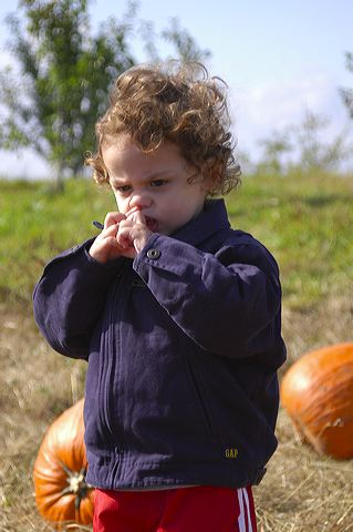 dsc_2493.jpg