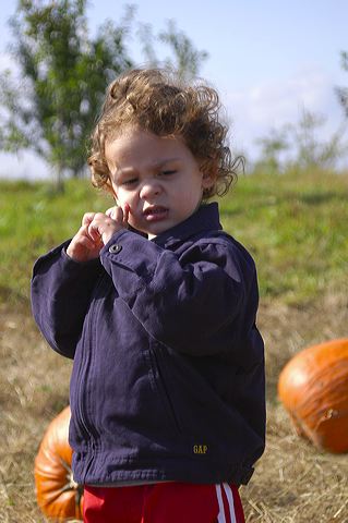 dsc_2494.jpg