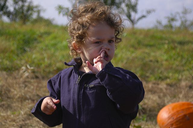 dsc_2495.jpg