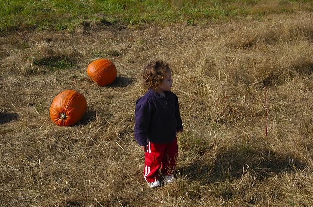 dsc_2496.jpg