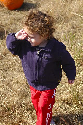 dsc_2500.jpg