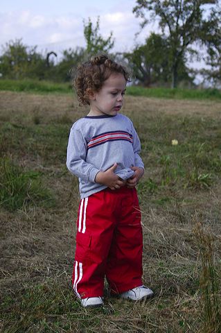 dsc_2536.jpg