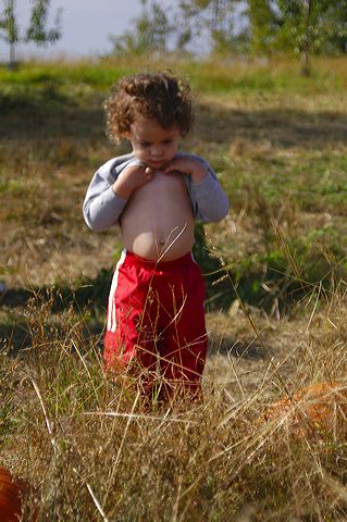 dsc_2543.jpg