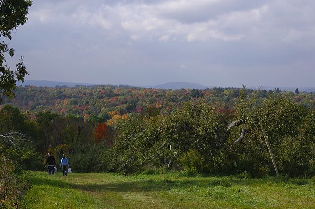 dsc_2552.jpg
