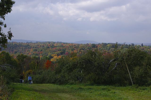 dsc_2553.jpg