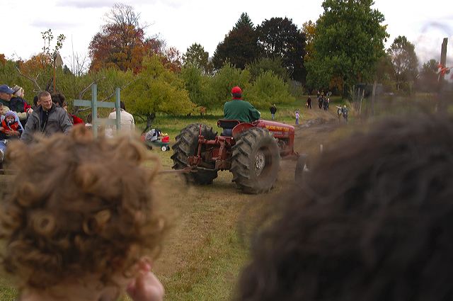 dsc_2578.jpg
