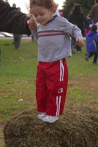dsc_2597.jpg