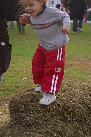 dsc_2598.jpg