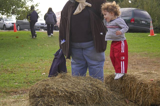 dsc_2604.jpg