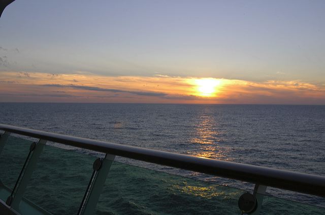dsc_2695.jpg