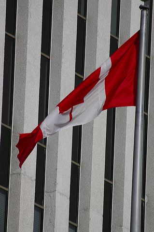 dsc_2733.jpg