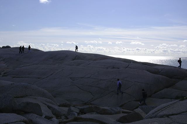 dsc_2766.jpg