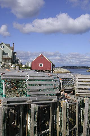 dsc_2767.jpg