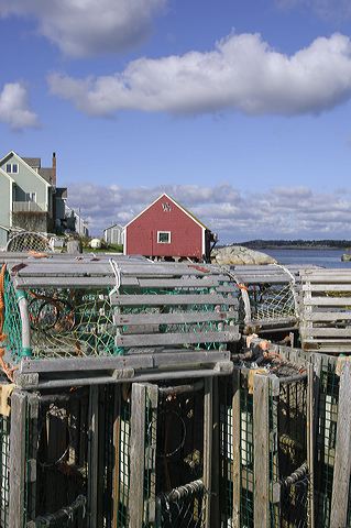 dsc_2768.jpg