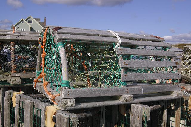 dsc_2770.jpg