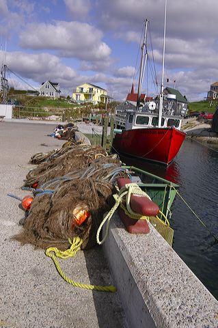 dsc_2774.jpg