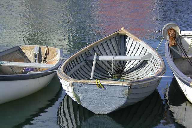 dsc_2781.jpg