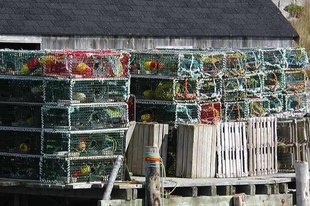 dsc_2783.jpg