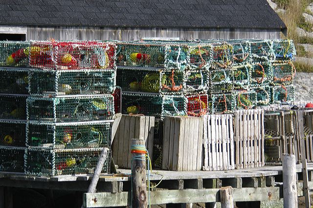 dsc_2784.jpg