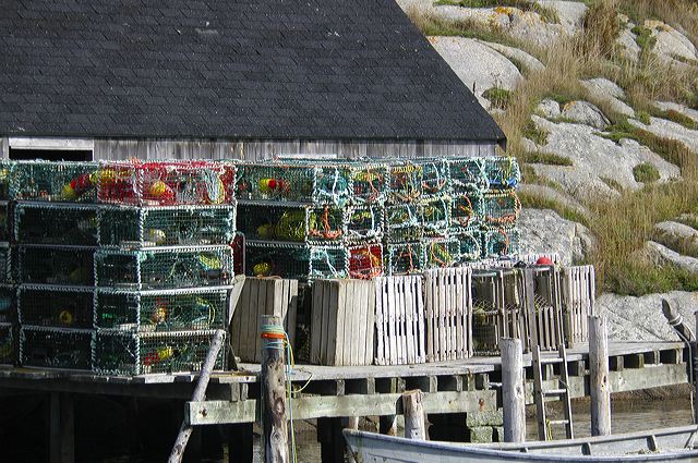 dsc_2785.jpg