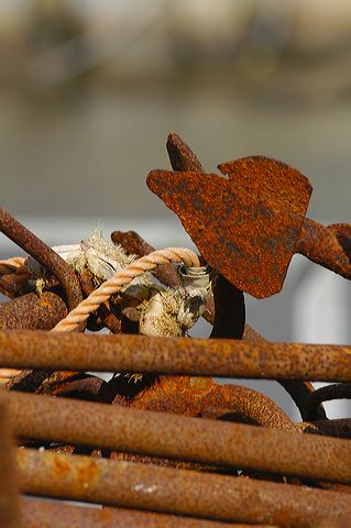 dsc_2787.jpg