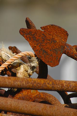 dsc_2789.jpg