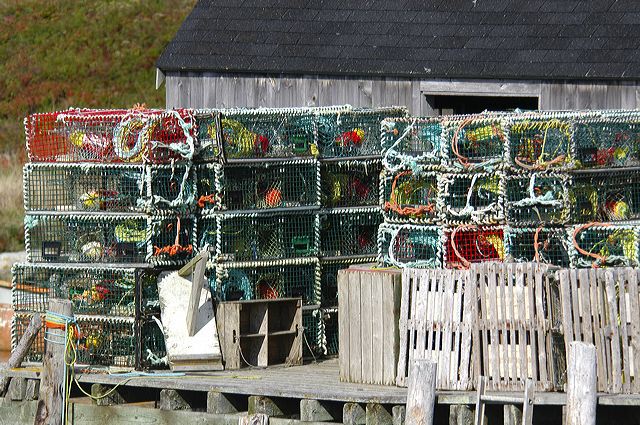dsc_2792.jpg