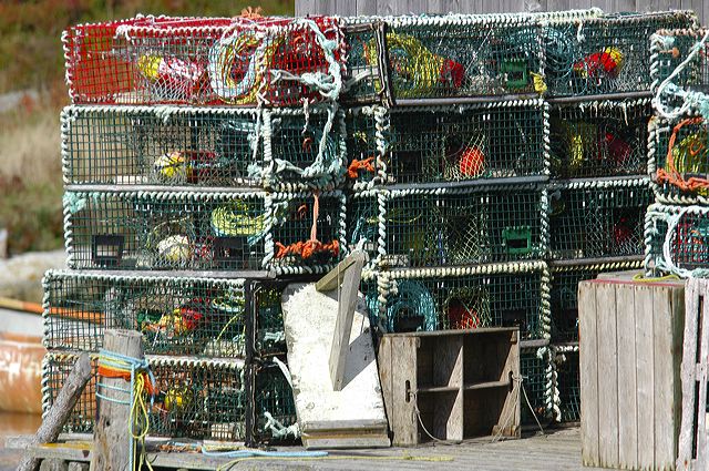 dsc_2793.jpg