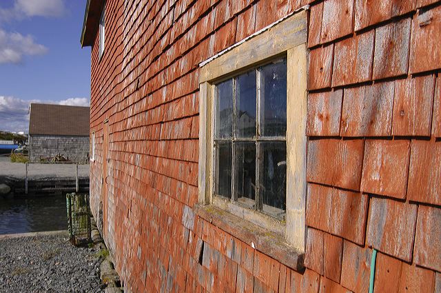 dsc_2802.jpg