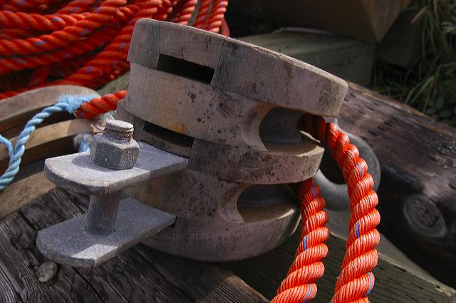 dsc_2808.jpg