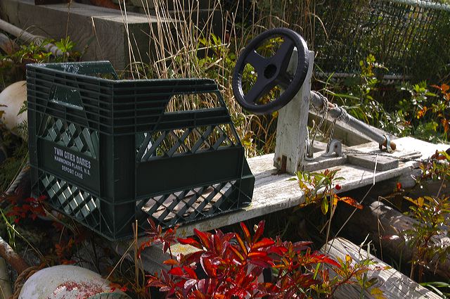 dsc_2815.jpg