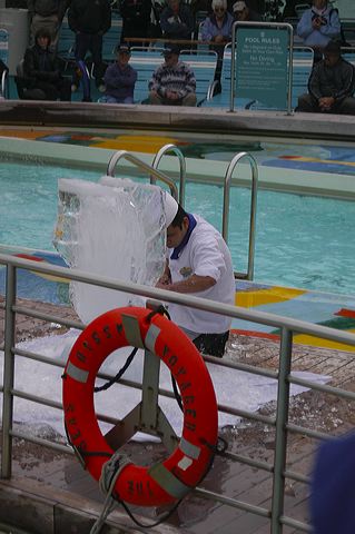 dsc_2842.jpg