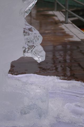 dsc_2847.jpg
