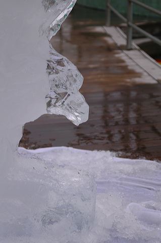 dsc_2848.jpg