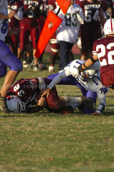 dsc_3519.jpg