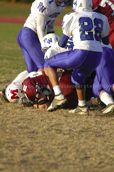 dsc_3529.jpg
