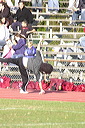dsc_3250