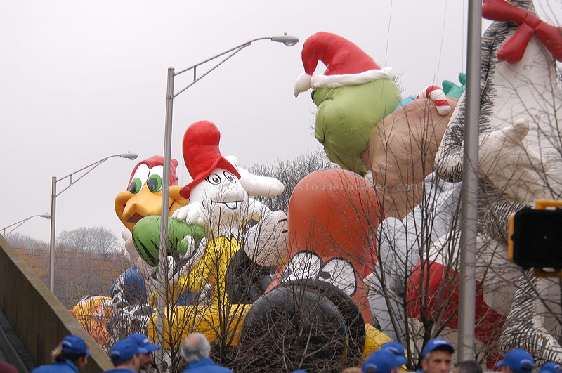 dsc_3561.jpg
