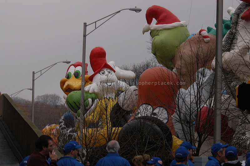 dsc_3562.jpg