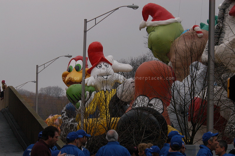 dsc_3563.jpg