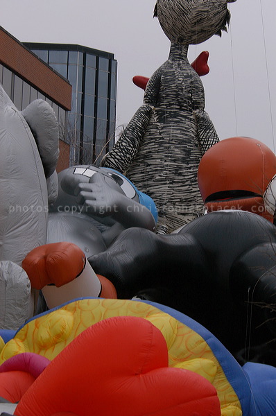 dsc_3582.jpg