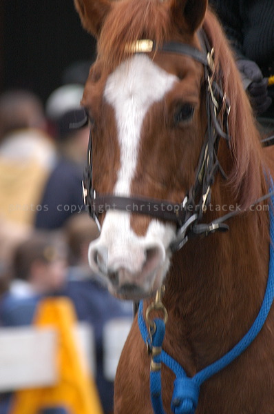dsc_3721.jpg