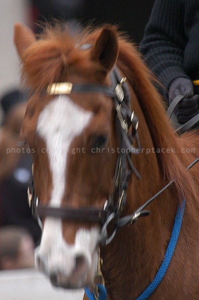 dsc_3722.jpg