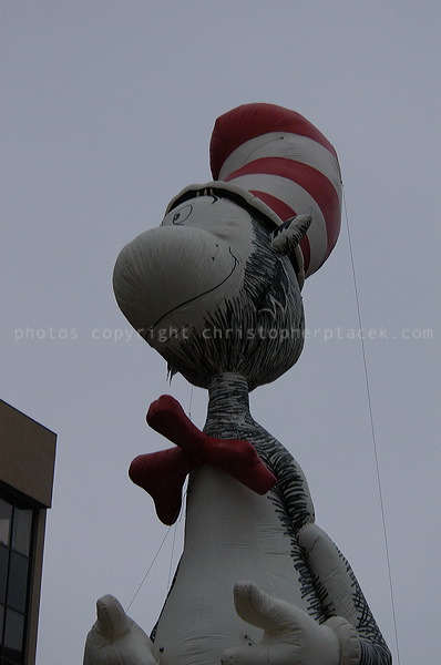 dsc_3762.jpg