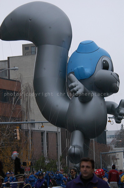 dsc_3778.jpg