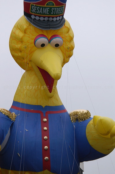 dsc_3819.jpg