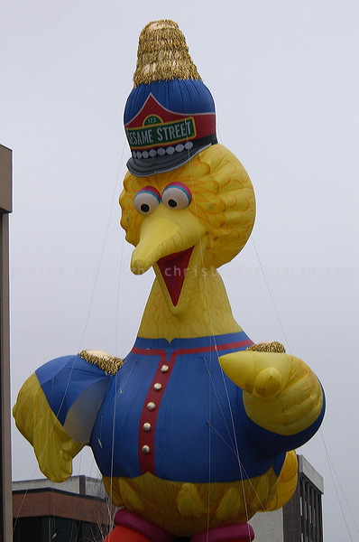 dsc_3822.jpg
